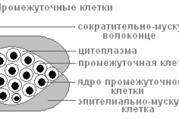 Кракен рабочая ссылка на сайт