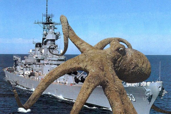 Kraken гидра