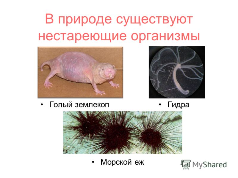 Как войти в кракен